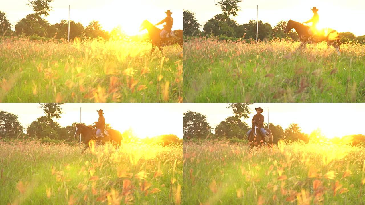 日落灯光下骑马骑手的剪影。