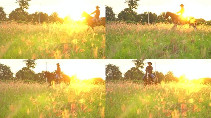 日落灯光下骑马骑手的剪影。