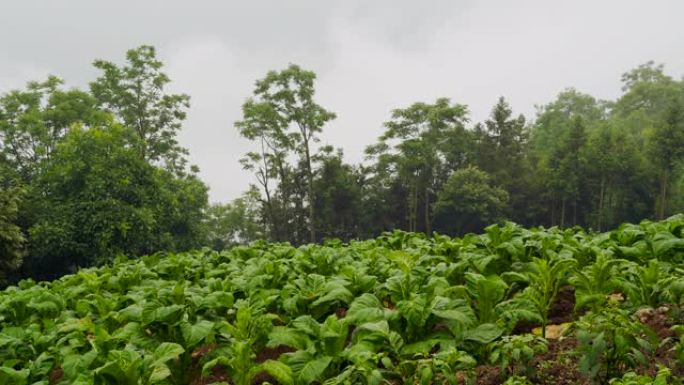 雨天场景