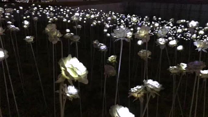 韩国首尔东大门设计广场led灯玫瑰园