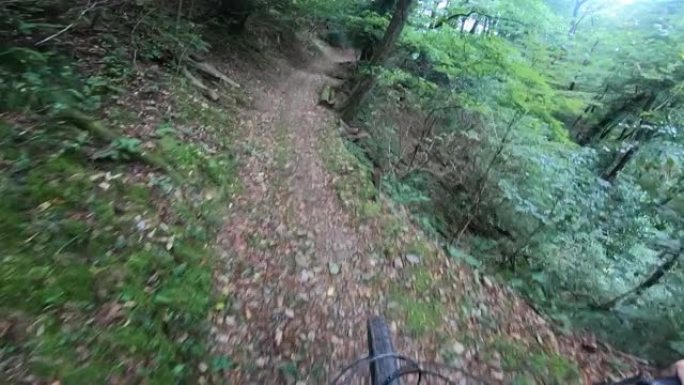 在瑞士提契诺州，山地车手穿过树木繁茂的自行车道的第一人称视角