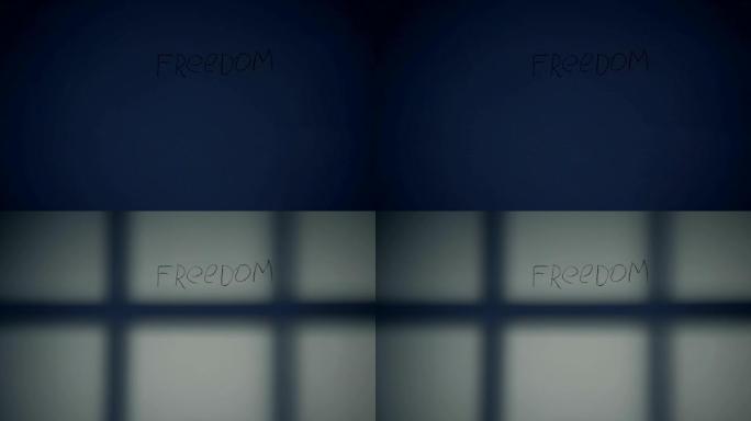 自由，写在监狱墙上的文字，呼救，囚犯抗议