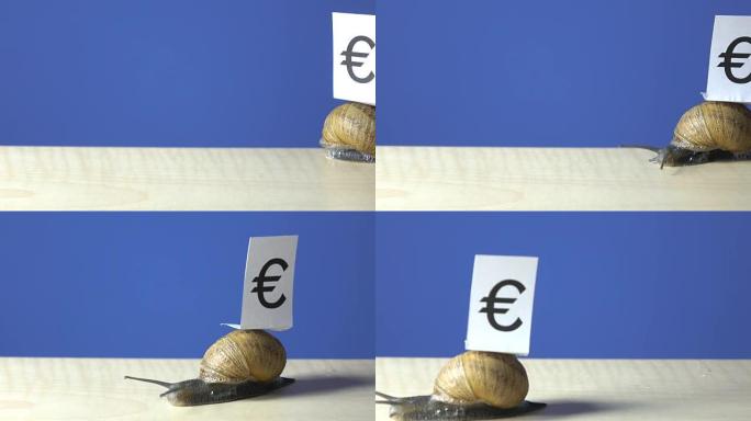 UHD的花园蜗牛视频，外壳上有欧元标志