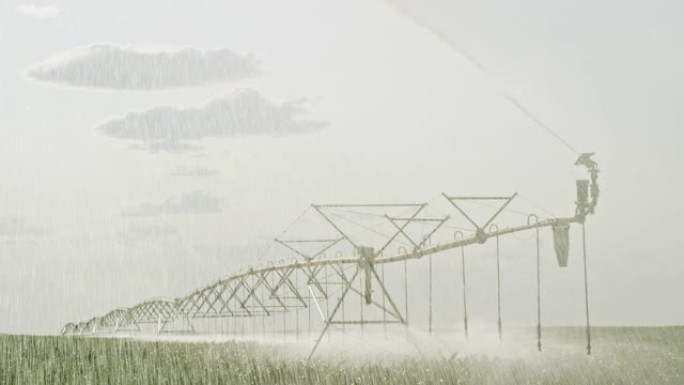 在加拿大艾伯塔省的晴天，大型中心枢轴喷灌系统在油菜田 (油菜籽) 上浇水的慢动作镜头