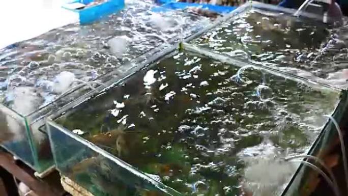 水中捕虾鱼虾市场海鲜市场