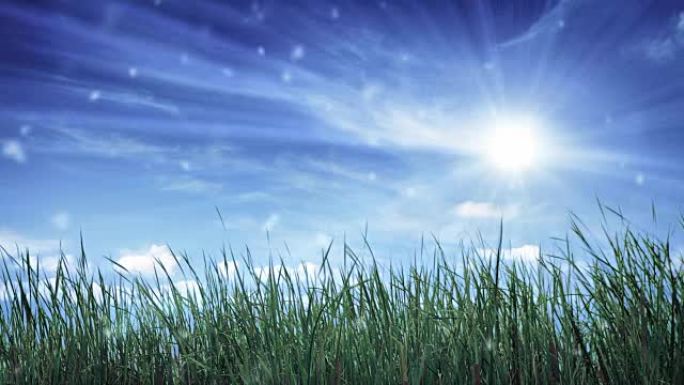 太阳和草