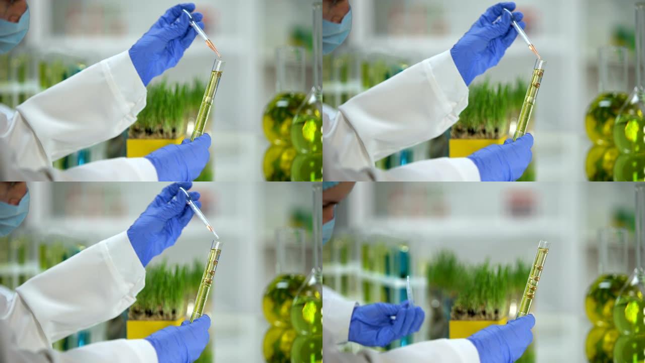 化学家在带有植物提取物的试管中添加液体，生物燃料生产，生态学