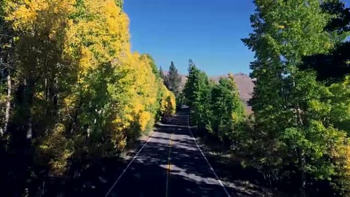 当树木变色时，美丽的无人机沿着加州山区一条寂寞的道路拍摄跟踪。