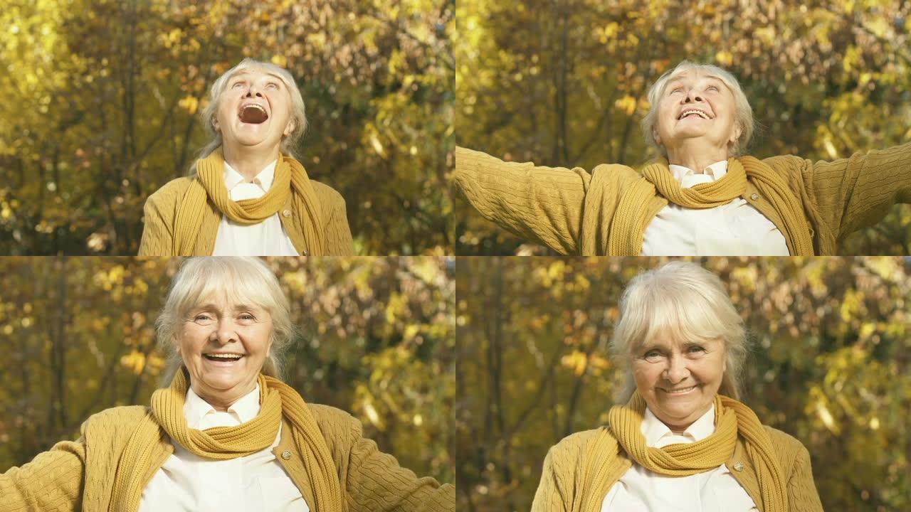 兴奋的老妇扔黄叶，在公园享受秋天的大自然