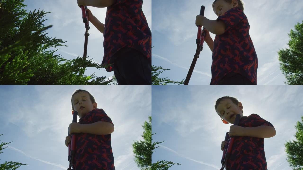 在一个阳光明媚的日子里，一个四岁的白人男孩用一把手工修剪树篱的剪刀修剪杜松树