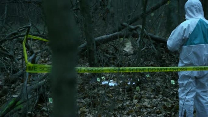 有人在树林里看着犯罪现场的法医专家，危险，悬念