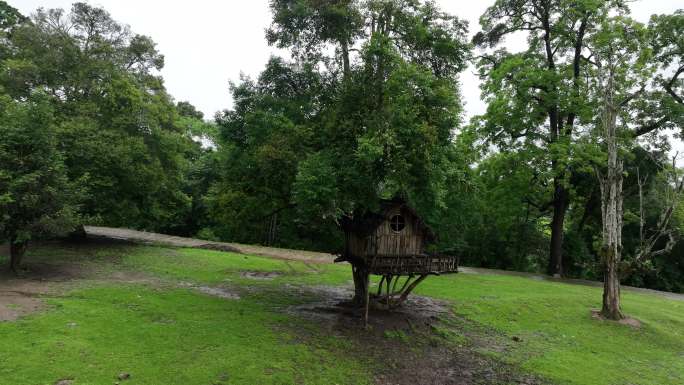 童话世界里的树上木屋