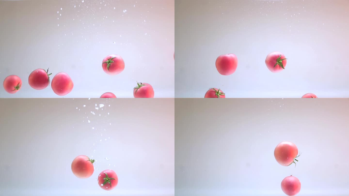 番茄 番茄 西红柿 水中拍摄