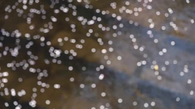 日本东京梅哥鲁河樱花踏板的散焦
