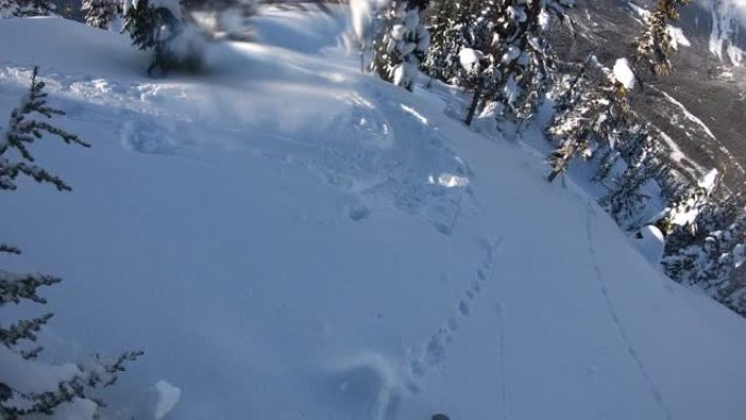 穷乡僻壤滑雪者下降粉状高山坡的第一人称视角