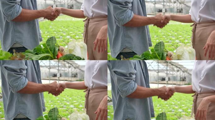 4k慢动作有机蔬菜农场的所有者与客户讨论了出口业务。说话成功时握手。
