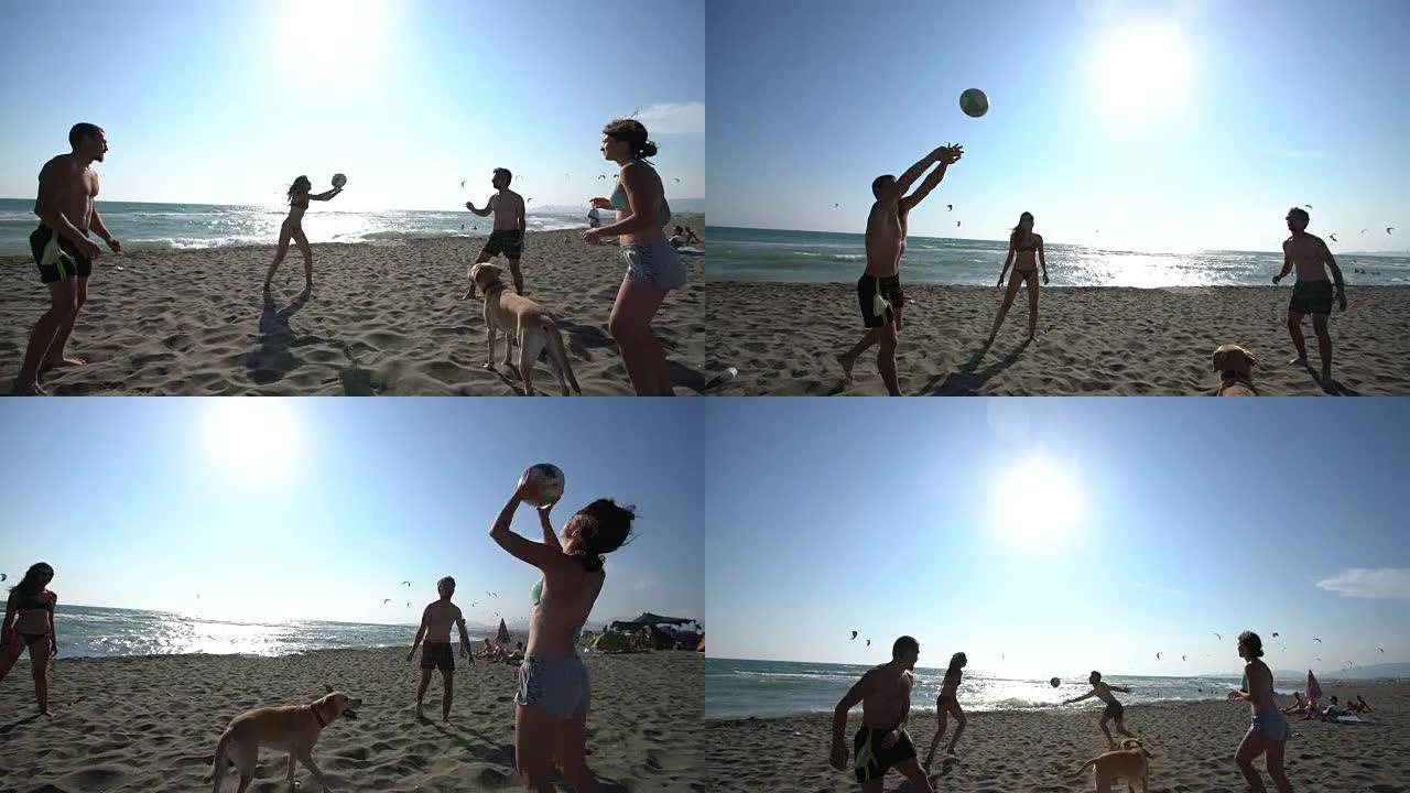 沙滩上的排球