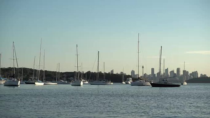 澳大利亚沃森湾的航海游艇