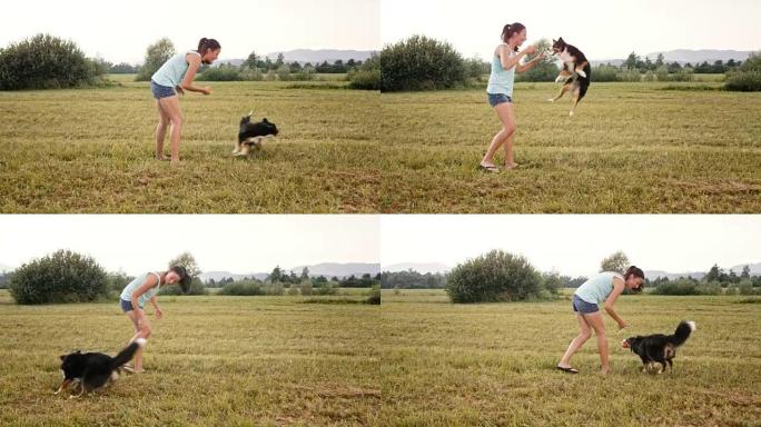 SLO MO年轻女子在草地上与狗玩耍