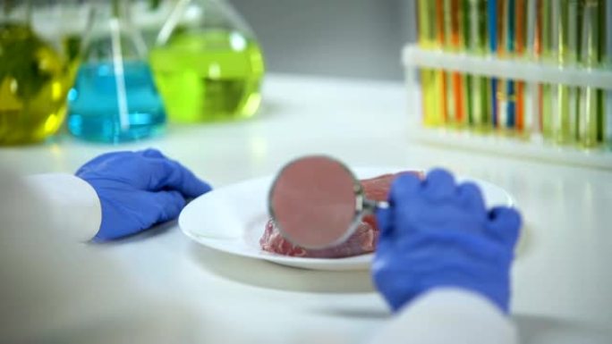 实验室助理检查肉类样品，质量控制和转基因食品专业知识