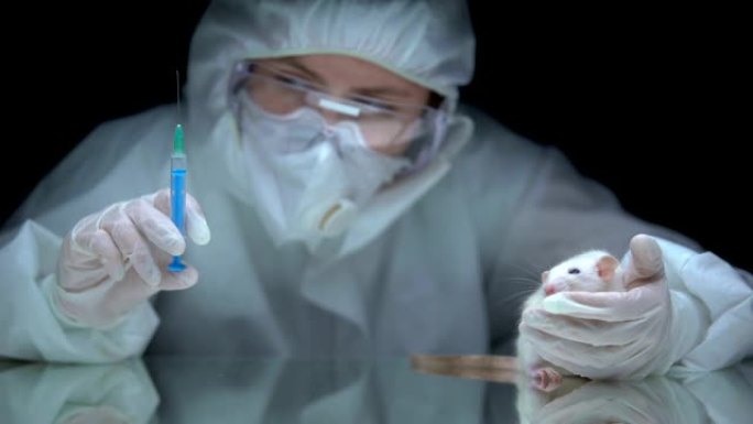医学研究人员拿着带有蓝色物质和大鼠的注射器，毒理学测试