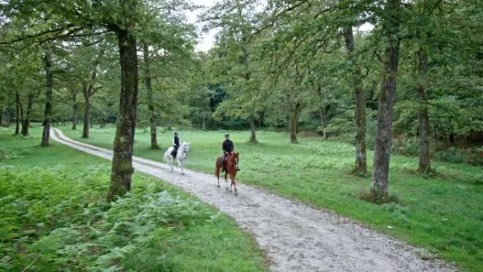 CS两名骑手在森林里骑着小跑马