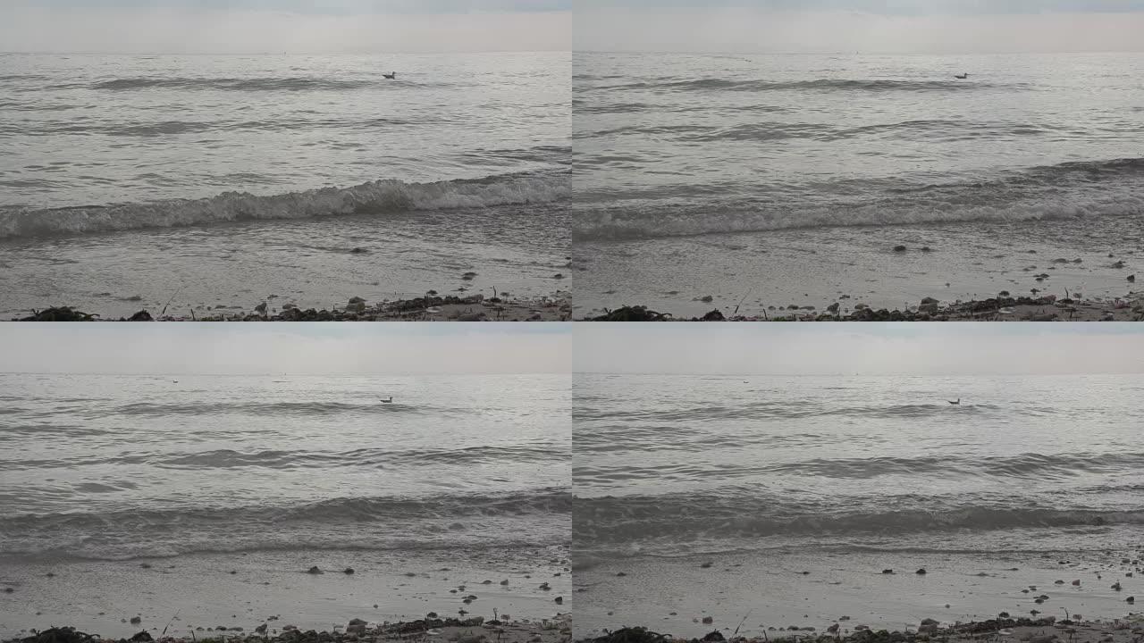 海鸥漂浮在冲浪上海鸥漂浮在冲浪上大海