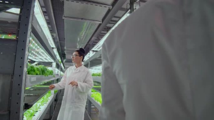 男男女女科学家们在一个种植蔬菜和草药的现代金属农场的走廊里工作，检查装有绿色植物的货架，并将数据输入