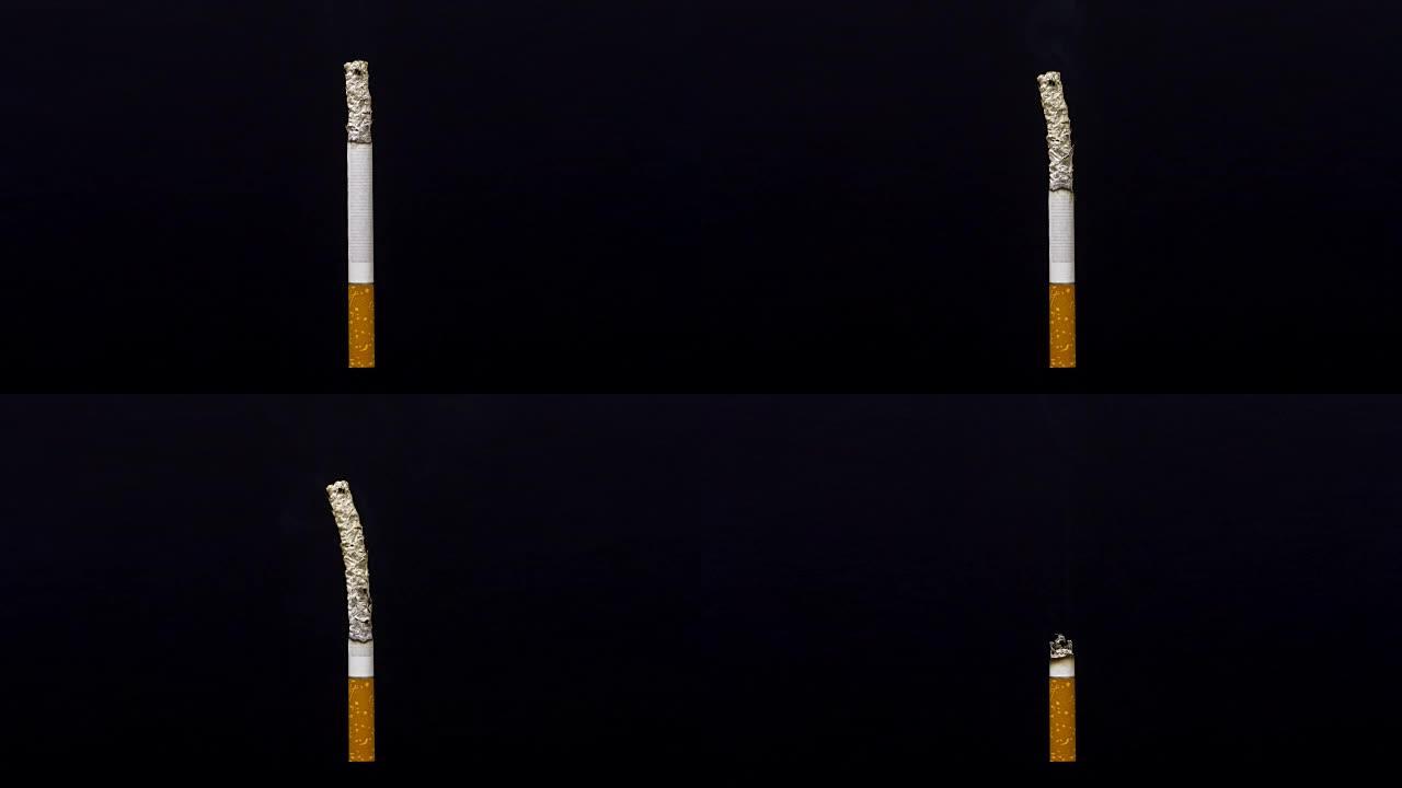 香烟燃烧三维动画香烟燃尽吸烟有害健康
