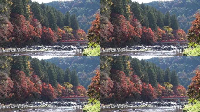 在日本爱知县Korankei，红桥上有五颜六色的秋叶的人群。