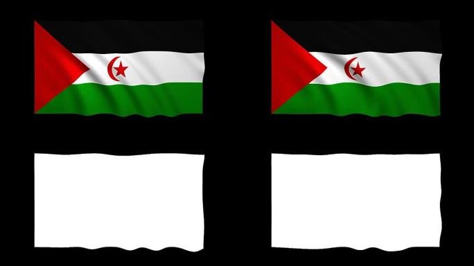西撒哈拉旗可循环alpha包括-股票视频