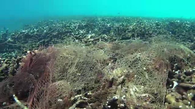 珊瑚礁被渔网摧毁热带鱼群海洋大海野生动物