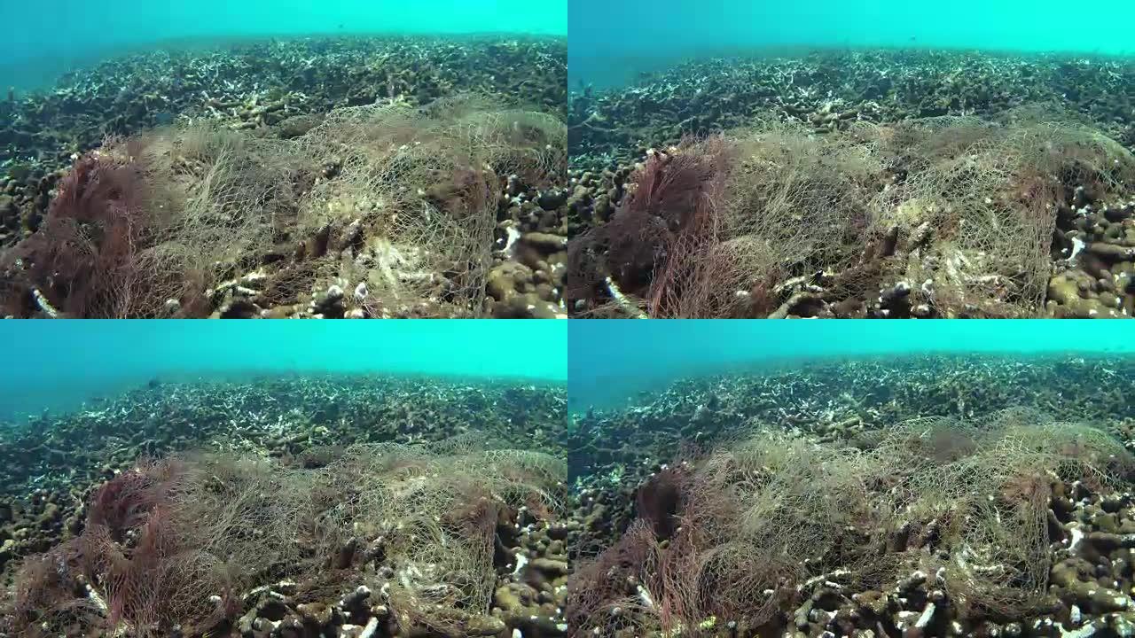 珊瑚礁被渔网摧毁热带鱼群海洋大海野生动物