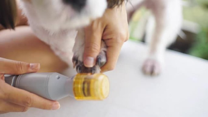 在梳理过程中，用手在狗中使用狗钉钉研磨机。