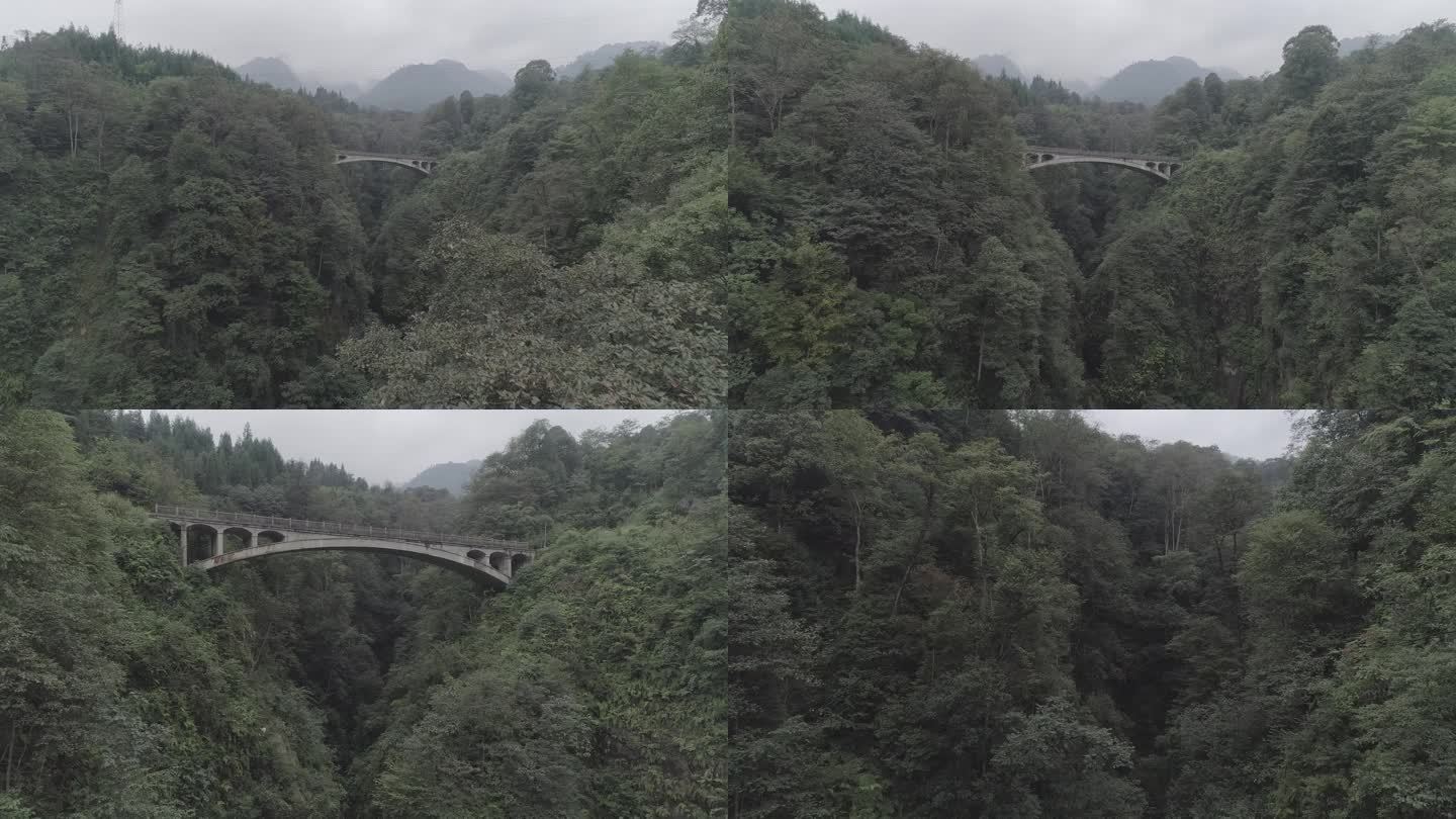 原始森林里的小桥 航拍穿越 4k-log