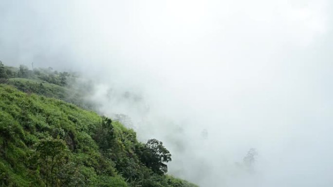 雾在泰国Phu Thap Book的高地上流动