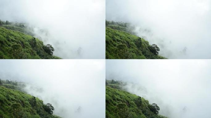 雾在泰国Phu Thap Book的高地上流动