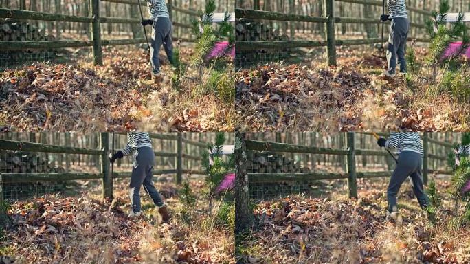 后院的秋天清理工作。十几岁的女孩一起耙起落叶取出。