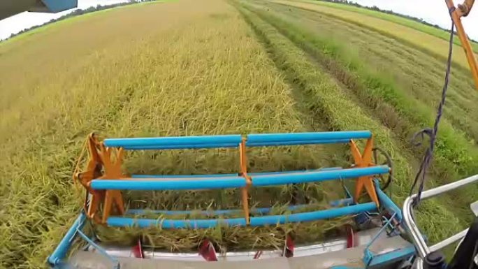 收割机正在收割谷物。园景优美的田地里农民的生产力。