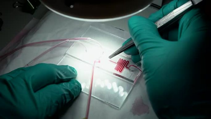 实验室测试视频背景素材装备抗体检测药物培