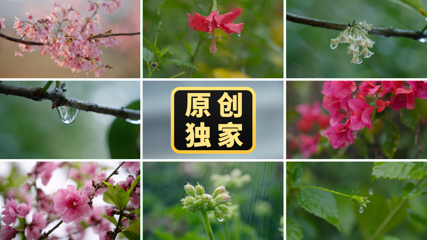 春天春分谷雨惊蛰雨水节气春雨清明雨天雨滴