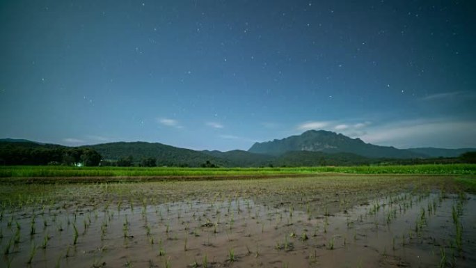 梯田稻田夜晚美丽乡村乡村振兴