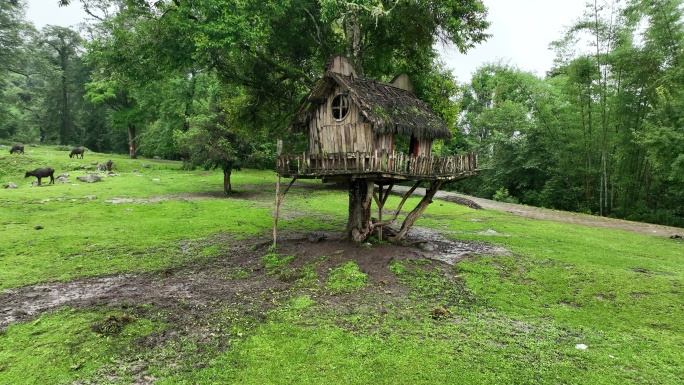建在树上的小木屋宛如童话世界