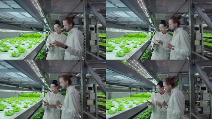 现代科学家通过在垂直自动化农场中种植健康食品来从事健康食品生产的发展。使用笔记本电脑和平板电脑进行数
