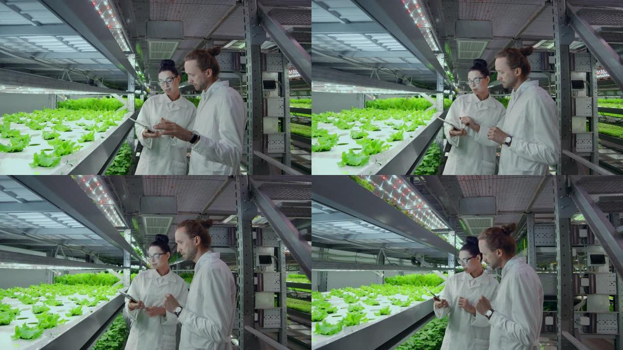现代科学家通过在垂直自动化农场中种植健康食品来从事健康食品生产的发展。使用笔记本电脑和平板电脑进行数