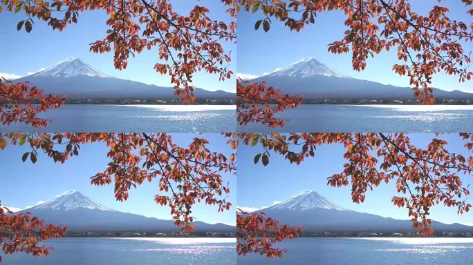 河口湖的红叶富士