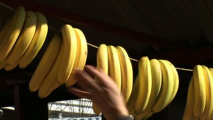 高清: 卖香蕉东南亚亚热带热带水果