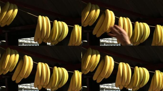 高清: 卖香蕉东南亚亚热带热带水果