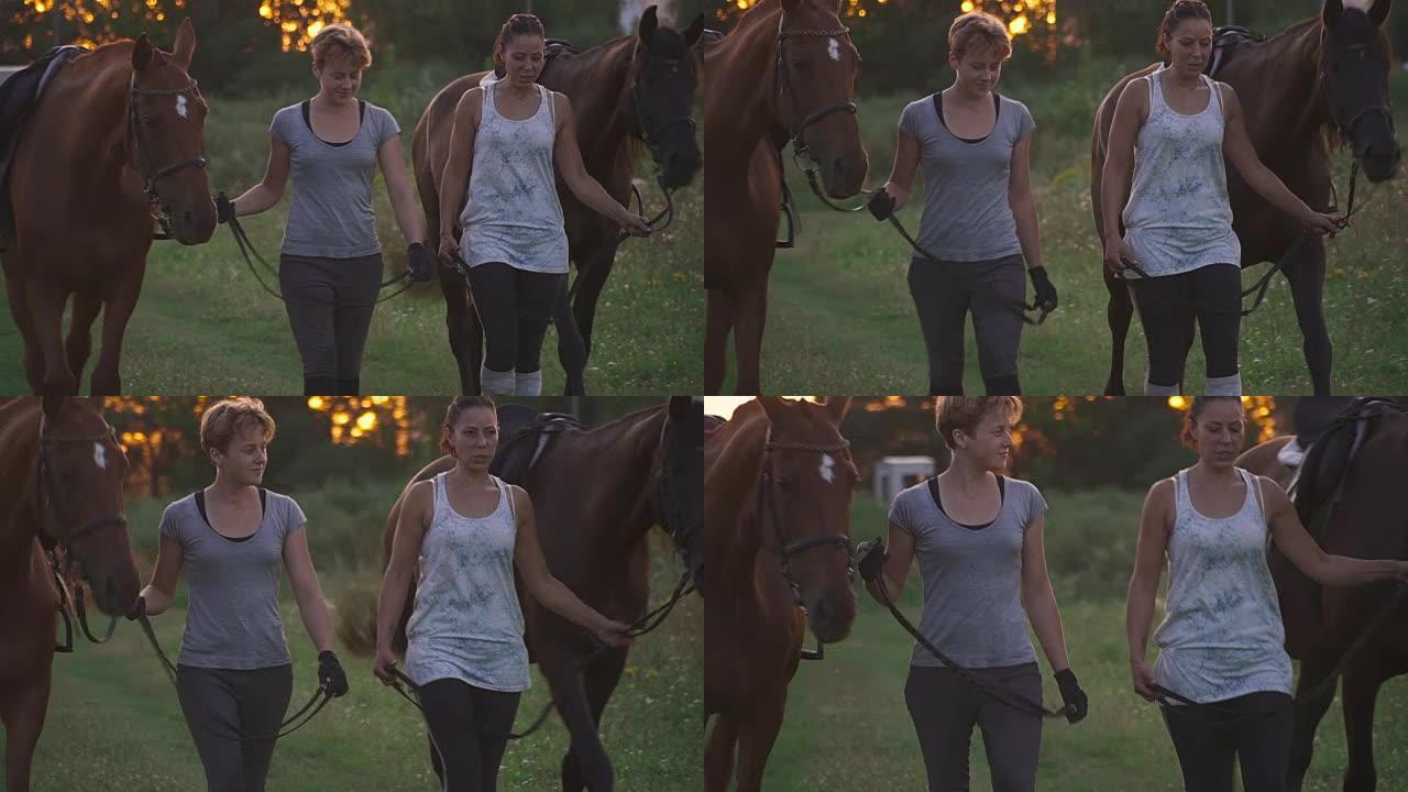 两个女孩在野外道路上驾驶两匹马