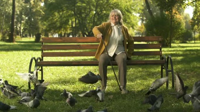 脾气暴躁的老太太赶走鸽子，坐在公园的长椅上，不快乐的老人